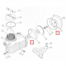 Резиновый уплотнитель диффузора-фланца для насосов Kripsol TT/BCD (1 шт.)